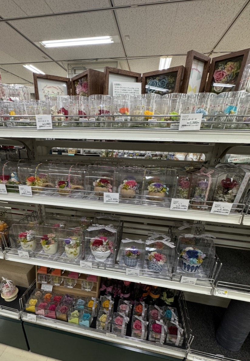 名古屋にもプンダミリア