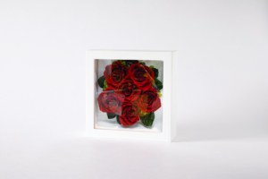 Glass frame -S 6輪タイプ