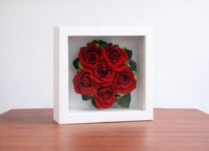 Glass frame -M 6輪タイプ