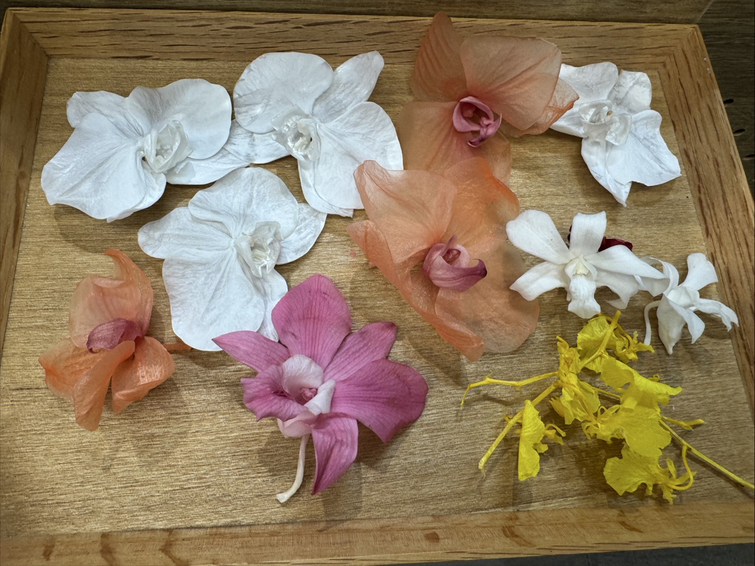 ラン ラン ラン♪